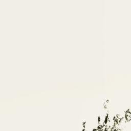 Satellite imagery of Cerro Belvedere, AR