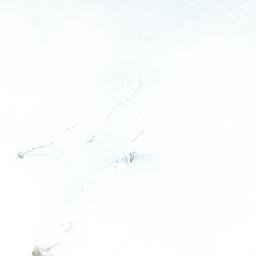 Satellite imagery of Cerro Torino, CL