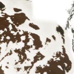 Satellite imagery of Cerro de Los Fósiles, AR