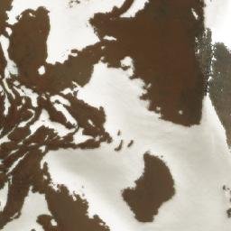 Satellite imagery of Cerro de Los Fósiles, AR