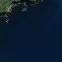 Satellite imagery of Butterfield Point, NZ