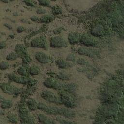 Satellite imagery of Deas Head, NZ