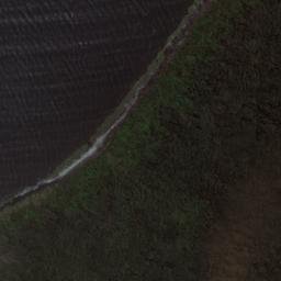 Satellite imagery of Tucker Point, NZ