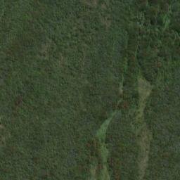 Satellite imagery of Williamson Point, NZ