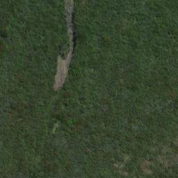 Satellite imagery of Williamson Point, NZ