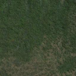 Satellite imagery of Williamson Point, NZ