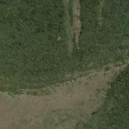 Satellite imagery of Williamson Point, NZ