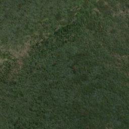 Satellite imagery of Williamson Point, NZ