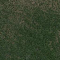 Satellite imagery of Williamson Point, NZ