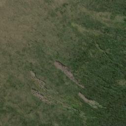 Satellite imagery of Williamson Point, NZ