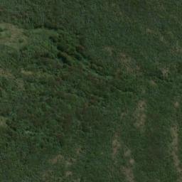 Satellite imagery of Williamson Point, NZ