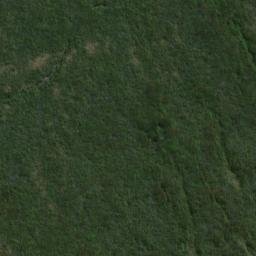 Satellite imagery of Williamson Point, NZ