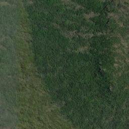 Satellite imagery of Flagstaff Point, NZ
