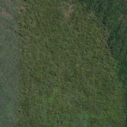 Satellite imagery of Flagstaff Point, NZ