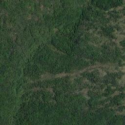 Satellite imagery of Flagstaff Point, NZ