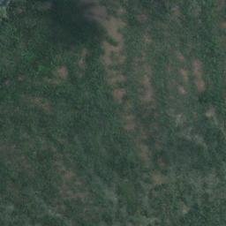 Satellite imagery of Grafton Point, NZ