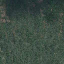 Satellite imagery of Grafton Point, NZ