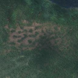 Satellite imagery of Grafton Point, NZ