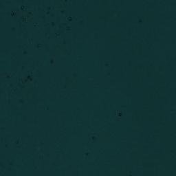 Satellite imagery of Punta Ceppi, CL