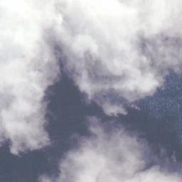 Satellite imagery of Logan Point, NZ