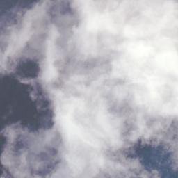 Satellite imagery of Logan Point, NZ