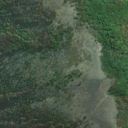 Satellite imagery of Cerro Ballena, CL