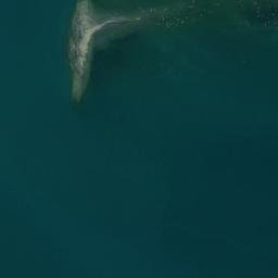 Satellite imagery of Punta Cuervos, CL