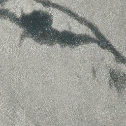 Satellite imagery of Punta Gracias a Dios, CL