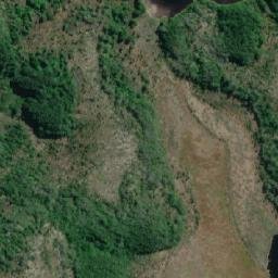 Satellite imagery of Punta Morgan, CL