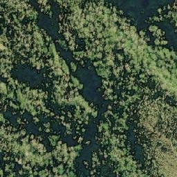 Satellite imagery of Punta Sangueza, CL