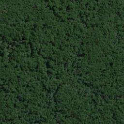 Satellite imagery of Cerro La Campana, CL