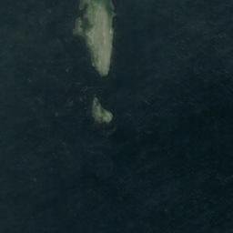 Satellite imagery of Punta Pesca, CL