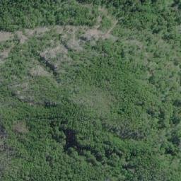 Satellite imagery of Punta Gruesa, CL