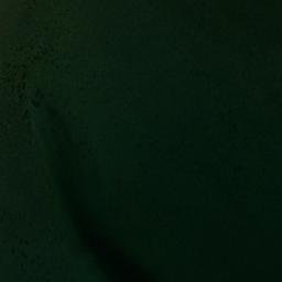 Satellite imagery of Punta Comming, CL