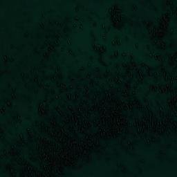 Satellite imagery of Punta Puño, CL