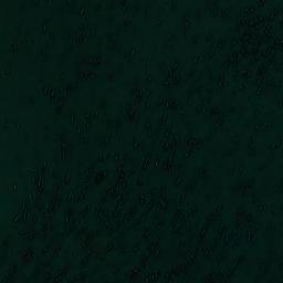 Satellite imagery of Punta Ana, CL