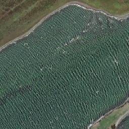 Satellite imagery of Punta Tumba, CL