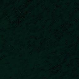 Satellite imagery of Punta Ana, CL