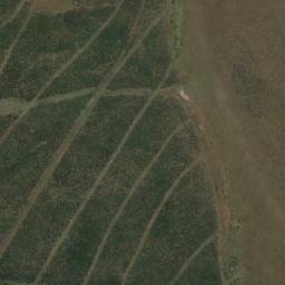 Satellite imagery of Punta Alfredo, CL