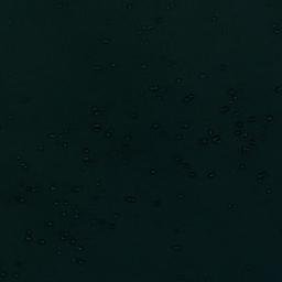 Satellite imagery of Punta Hook, CL