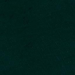 Satellite imagery of Punta Vergara, CL