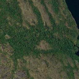 Satellite imagery of Punta Ward, CL