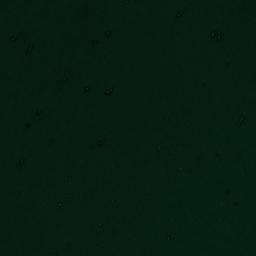 Satellite imagery of Punta Espolón, CL