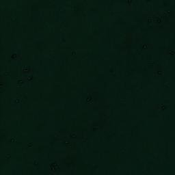 Satellite imagery of Punta Baja, CL