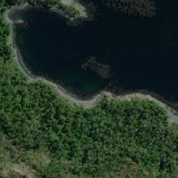 Satellite imagery of Punta Engaño, CL