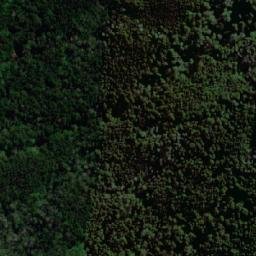 Satellite imagery of Cerro El Canelo, CL