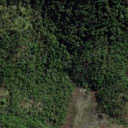 Satellite imagery of Monte Dagnino, CL