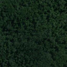 Satellite imagery of Punta Lancien, CL