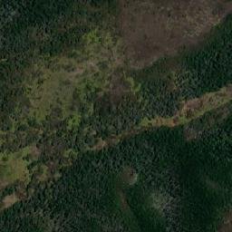 Satellite imagery of Punta Browne, CL