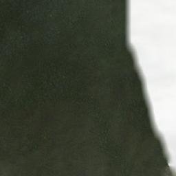 Satellite imagery of Monte Cuevas, CL